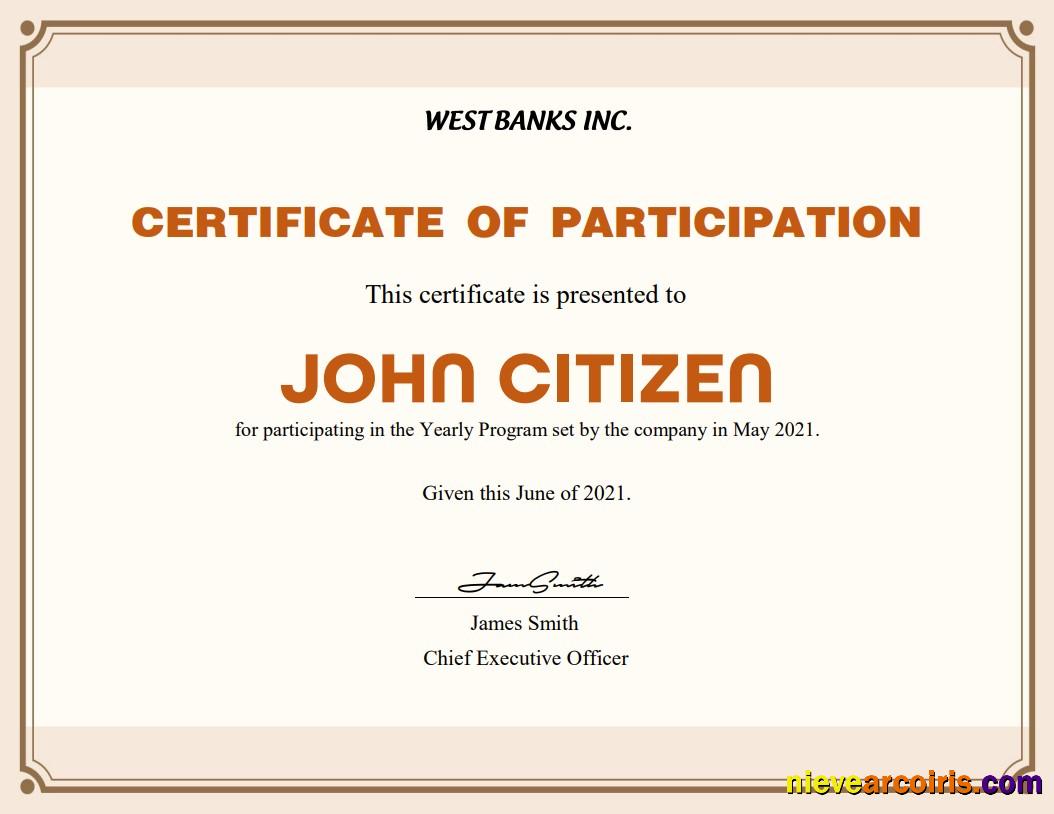 USA Participation cert Version 2